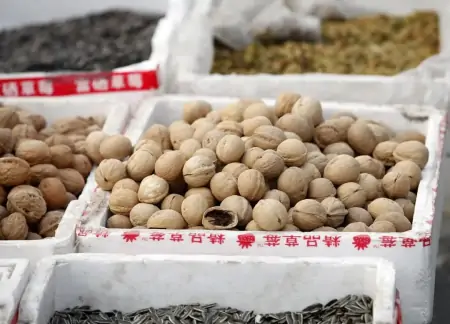 家有考生,饮食要讲究,多吃这6种食物,提高记忆力,考试不发愁(提升记忆力食物)