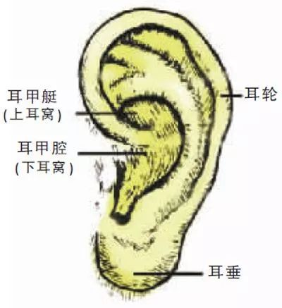 比电门开关都灵的牙疼止痛方法-电门和开关
