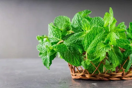 缓解牙疼的8个简单方法,用这些小偏方,快速缓解疼痛,简单有效-最快解决牙疼的土办法