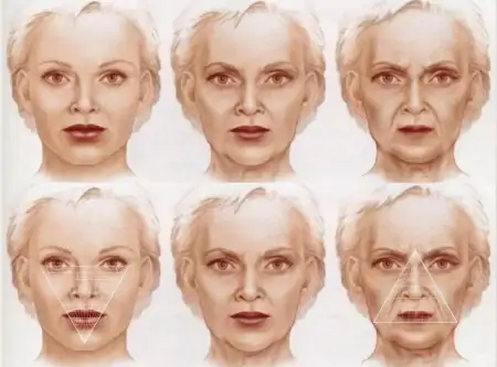 联合丽格第一医院杨大平教授解读面部年轻化5R综合抗衰技术新进程-北京联合丽格杨大平微博