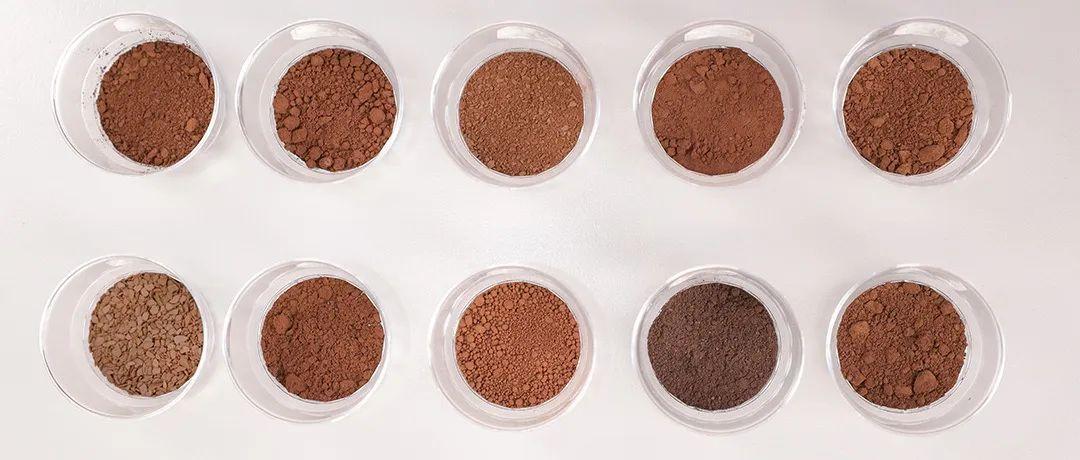 灵芝孢子粉到底是养生好物还是“慢性毒药”?实测10款,答案来了