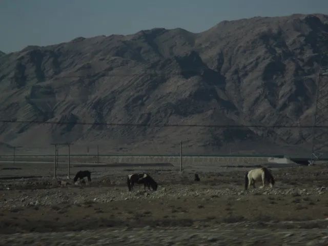 读《夜晚的潜水艇》后:(读夜晚的潜水艇有感)