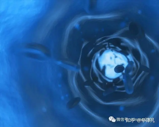 你对身体内的水知多少(人身体的水分含量)