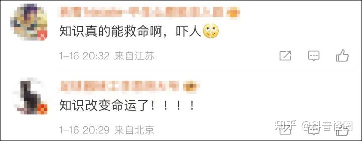 吃火锅吃出蓝环章鱼,海洋最毒生物之一,被咬了该怎么办?(吃到蓝环章鱼事件)