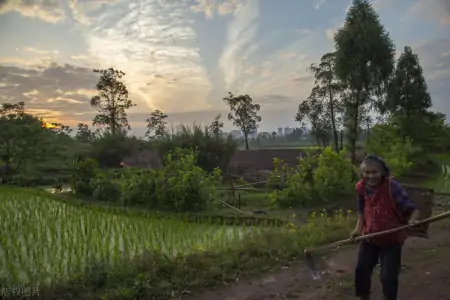 2023年养老金上涨稳了,涨幅比例也有望不降低,是真的吗?-2023年养老金能并轨吗