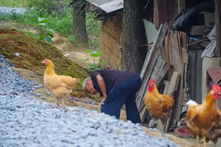 2023年养老金上涨稳了,涨幅比例也有望不降低,是真的吗?-2023年养老金能并轨吗