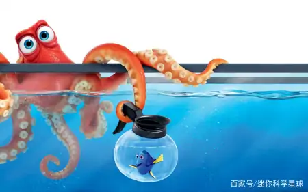 章鱼虽长相丑陋,却天赋异禀!拥有3颗心脏、9个脑袋外加蓝色血液(章鱼真的有三个心脏和9个大脑吗?)