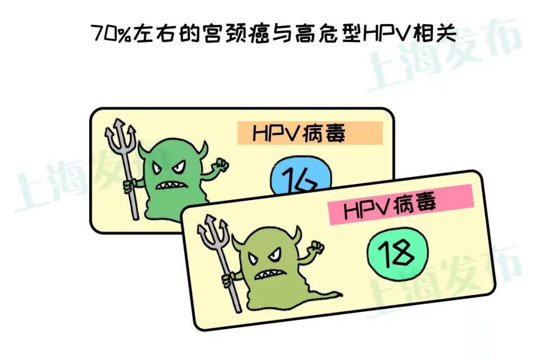 感染HPV≠得宫颈癌!听听宫颈怎么说-如果感染了宫颈癌病毒怎么办