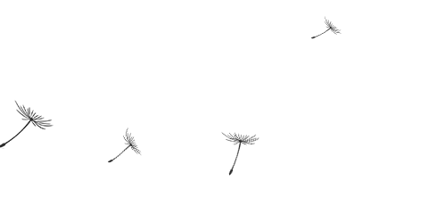 2021年全球62368-1准入概况内容及查询-各国数字经济发展