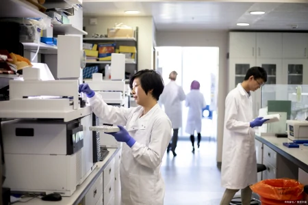 国内第三方权威检测机构有哪些?-隐石检测-第三方检验检测机构排名