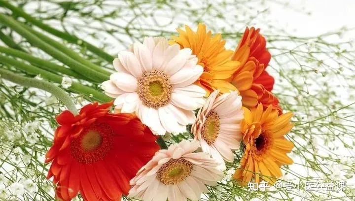 头疼偏方最快最有效-头痛的单方和偏方