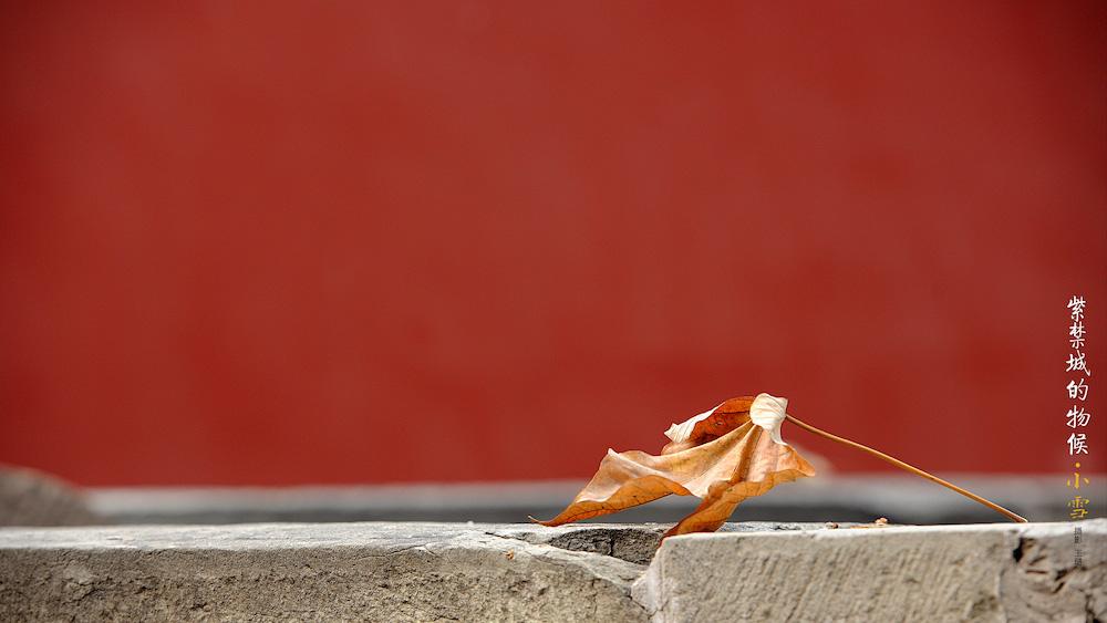 在“二十四节气”里读懂中国丨小雪:欲雪寻梅树,应节晚虹藏-24节气小雪的相关知识简介