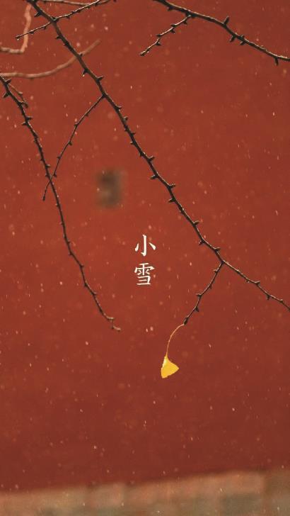 在“二十四节气”里读懂中国丨小雪:欲雪寻梅树,应节晚虹藏-24节气小雪的相关知识简介