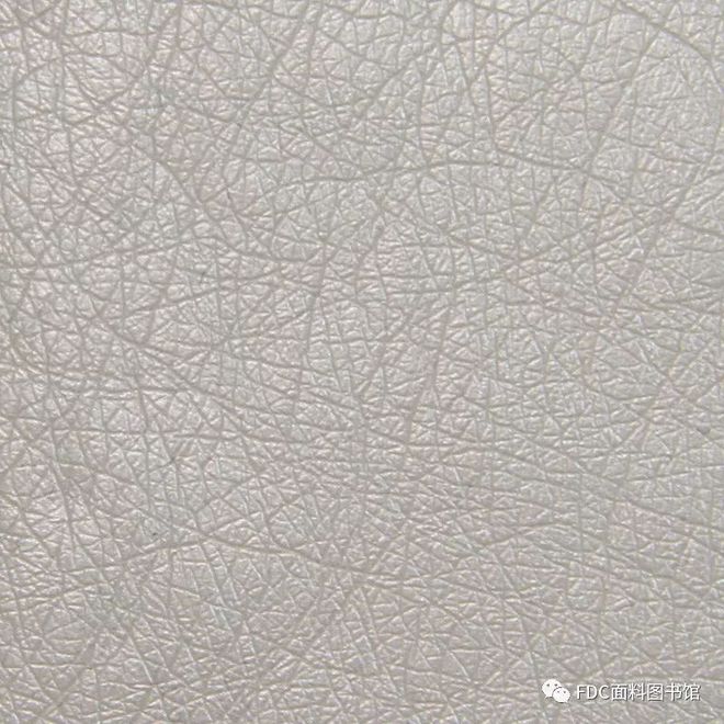 戏剧影视《伊丽莎白:黄金时代》服装面料指南(伊利莎白黄金时代)