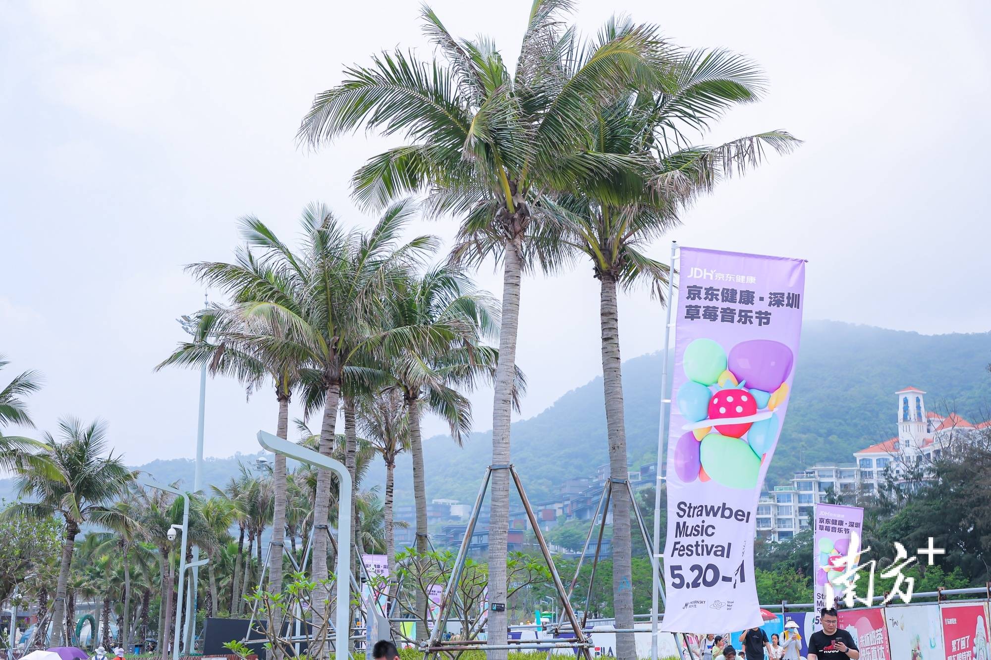 南方观察|盐田,何以应“节”不暇?-盐田是什么意思