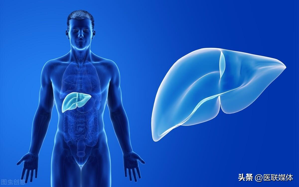 鸡蛋可以“修复”肝脏?坦言:这3种食物对肝脏有益,日常可多吃(鸡蛋对肝病有什么好处)