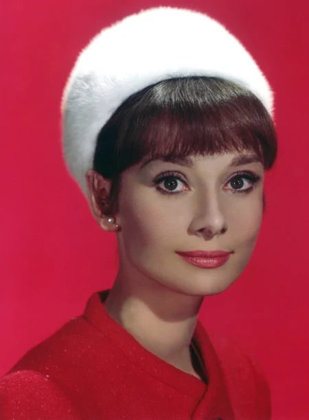 读《奥黛丽.赫本》有感-奥黛丽赫本读书