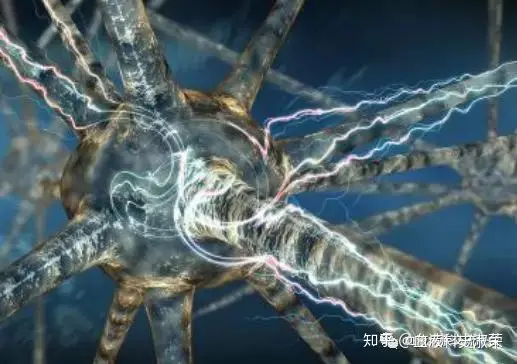 贫血易发的十大症状!不知道的还不赶紧看看!-贫血容易出现什么症状女性