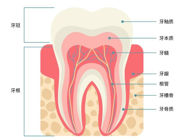 优诺口腔|牙膏可以补牙洞?别轻信......(用牙膏涂在蛀牙上可以缓解牙痛吗)