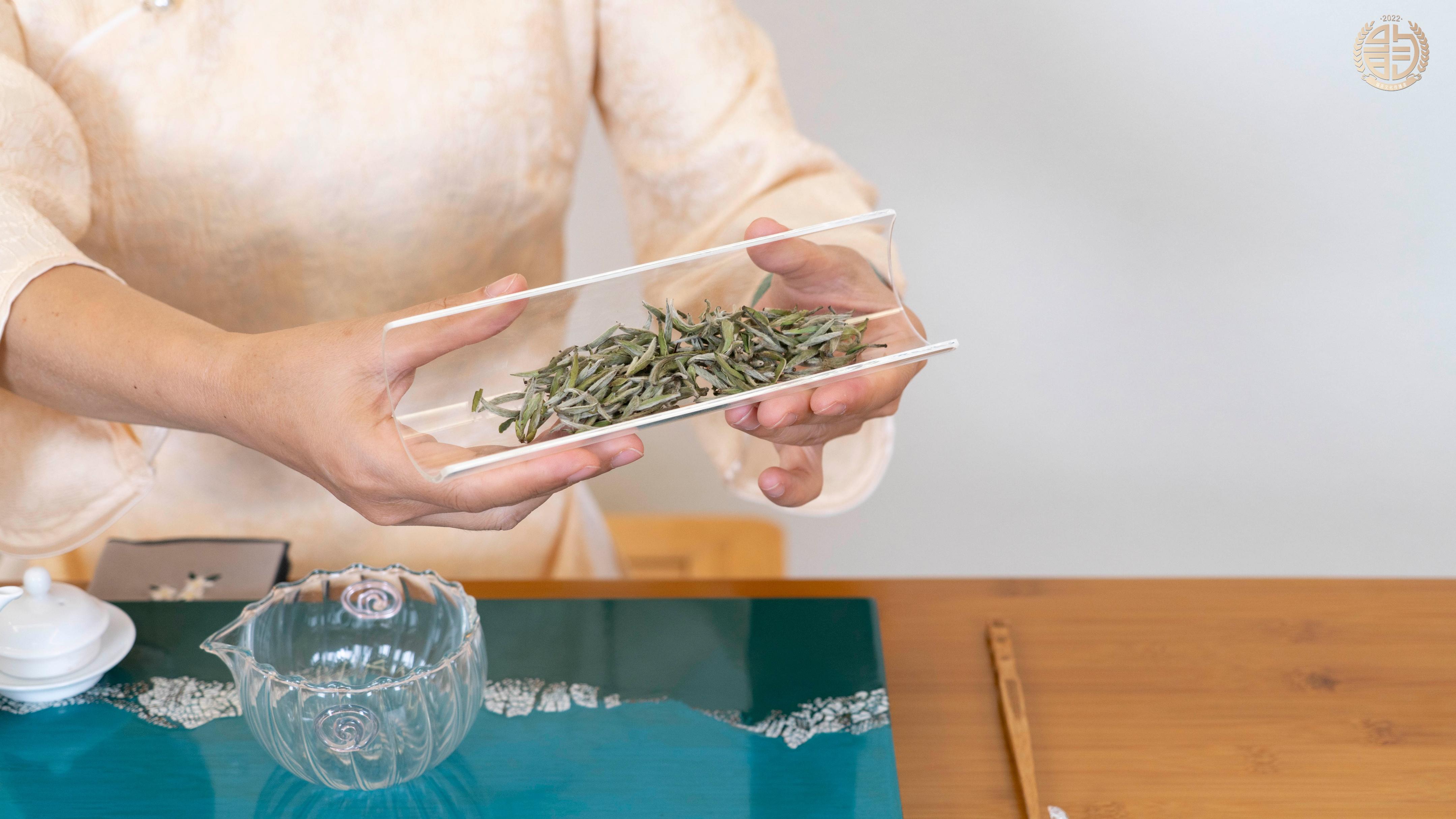 不是名字里有白茶的都是白茶,别上当了!-白茶另一个名字叫啥