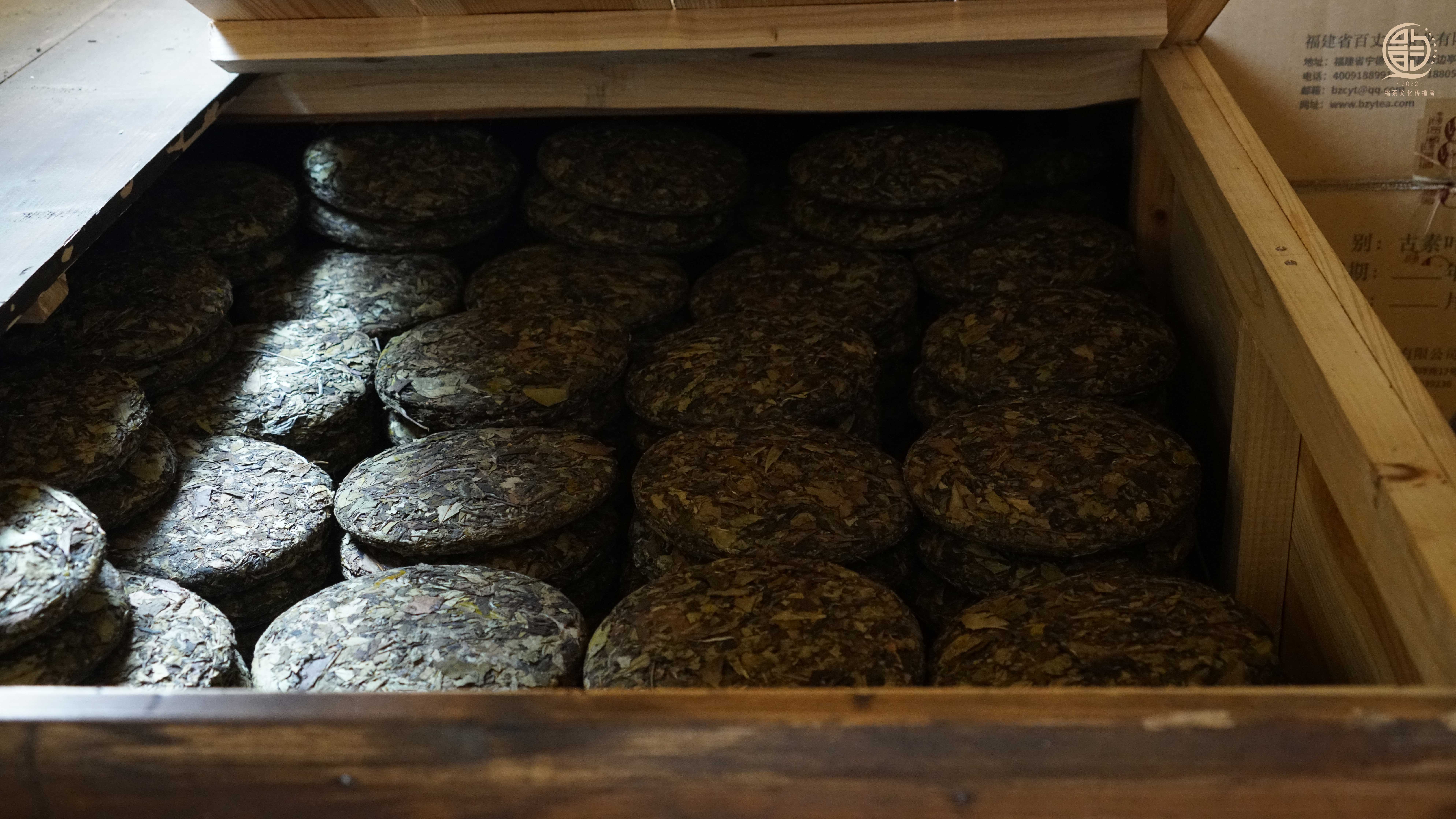 不是名字里有白茶的都是白茶,别上当了!-白茶另一个名字叫啥