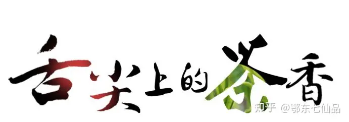 中国茶叶100强榜单出炉,看看什么茶排第一(中国茶叶前十)