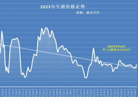 平地惊雷!猪价终于涨了,上涨原因是啥?端午仅是其中之一!-猪价上涨背后的原因