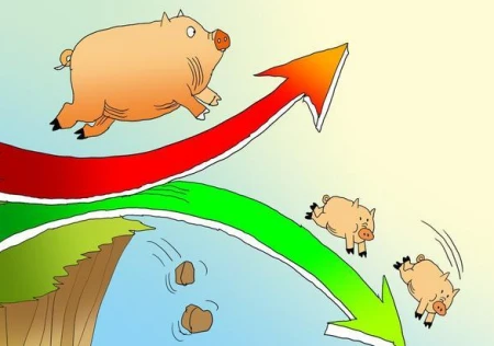 平地惊雷!猪价终于涨了,上涨原因是啥?端午仅是其中之一!-猪价上涨背后的原因