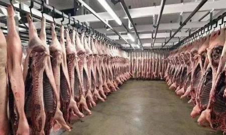 平地惊雷!猪价终于涨了,上涨原因是啥?端午仅是其中之一!-猪价上涨背后的原因