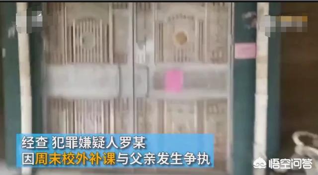 补课再酿惨剧:湖南洞口高一女生尖刀刺向父亲-湖南洞口高中怎么收费的