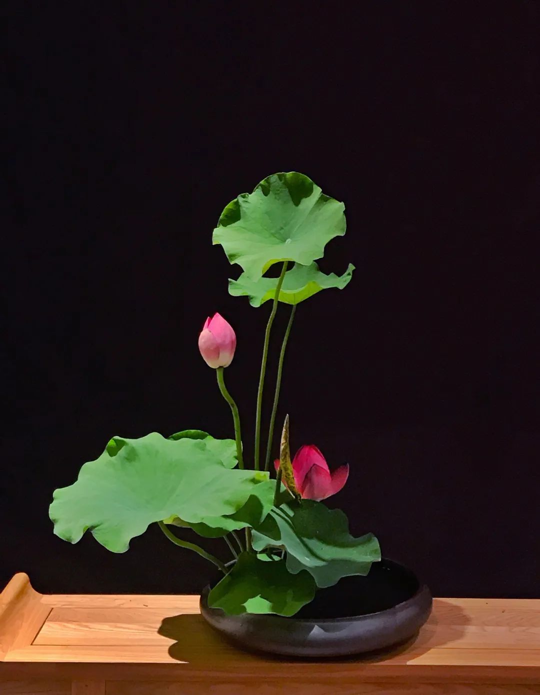 中日插花流派荷花插花荟萃,惊艳了夏日!(上)(中日插花文化对比论文)