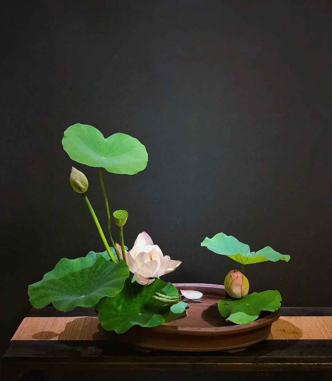 中日插花流派荷花插花荟萃,惊艳了夏日!(上)(中日插花文化对比论文)