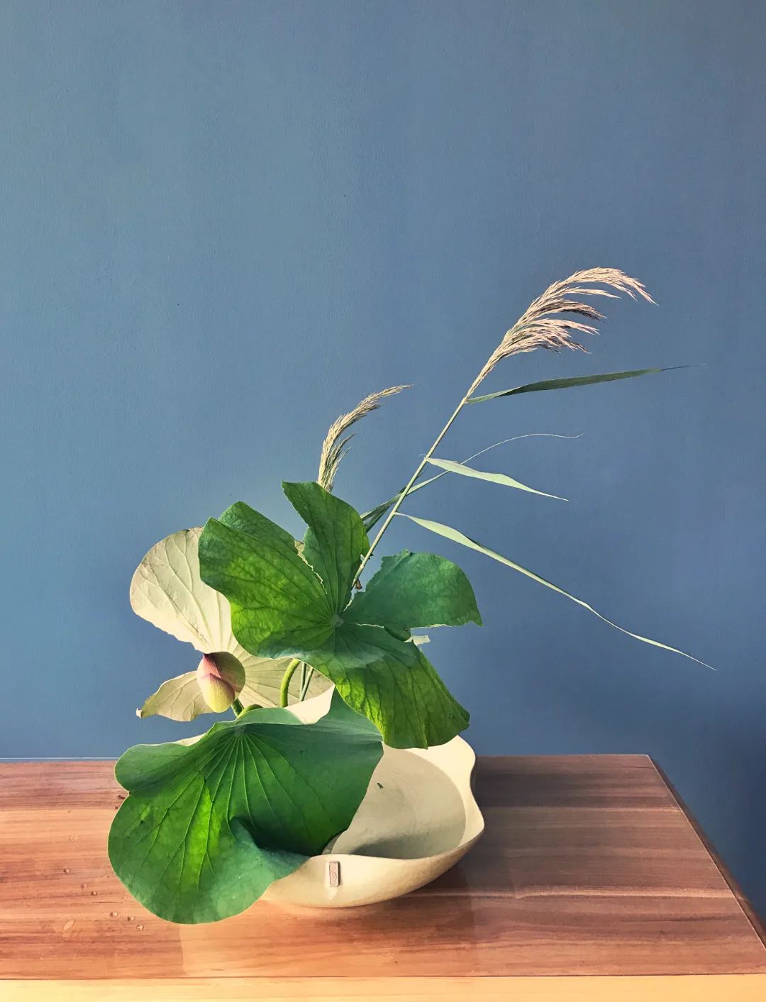 中日插花流派荷花插花荟萃,惊艳了夏日!(上)(中日插花文化对比论文)