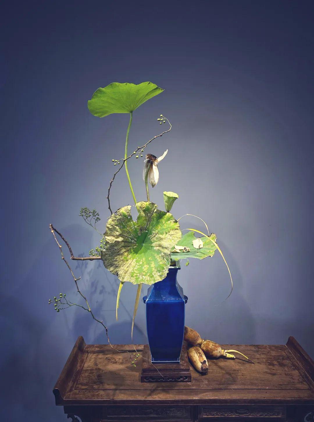 中日插花流派荷花插花荟萃,惊艳了夏日!(上)(中日插花文化对比论文)