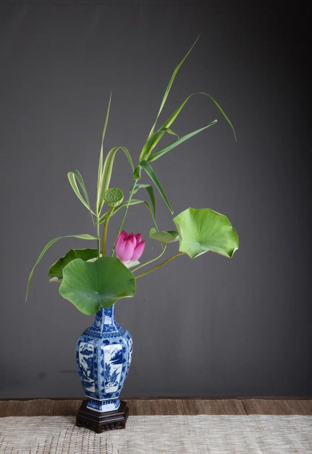 中日插花流派荷花插花荟萃,惊艳了夏日!(上)(中日插花文化对比论文)