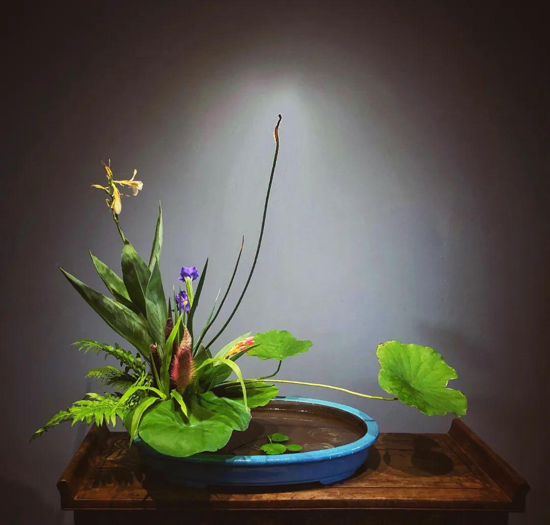 中日插花流派荷花插花荟萃,惊艳了夏日!(上)(中日插花文化对比论文)