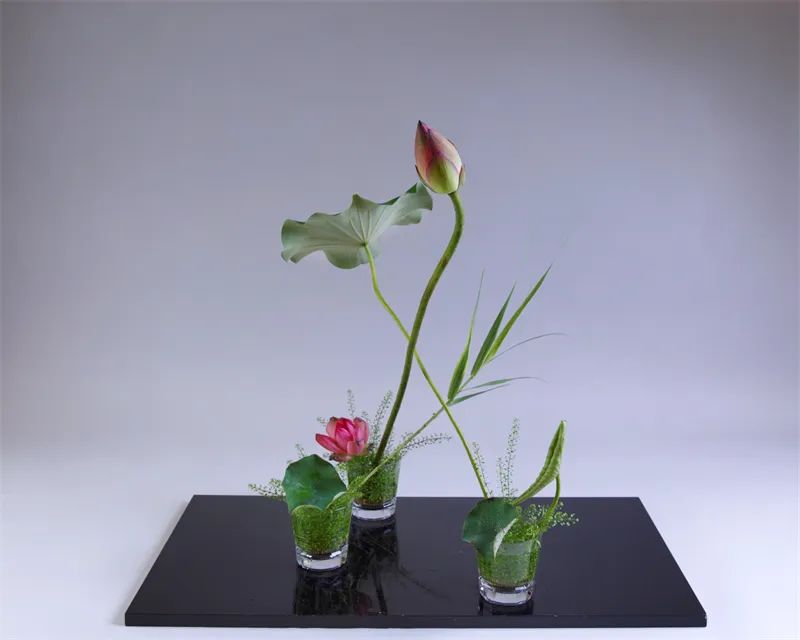 中日插花流派荷花插花荟萃,惊艳了夏日!(上)(中日插花文化对比论文)