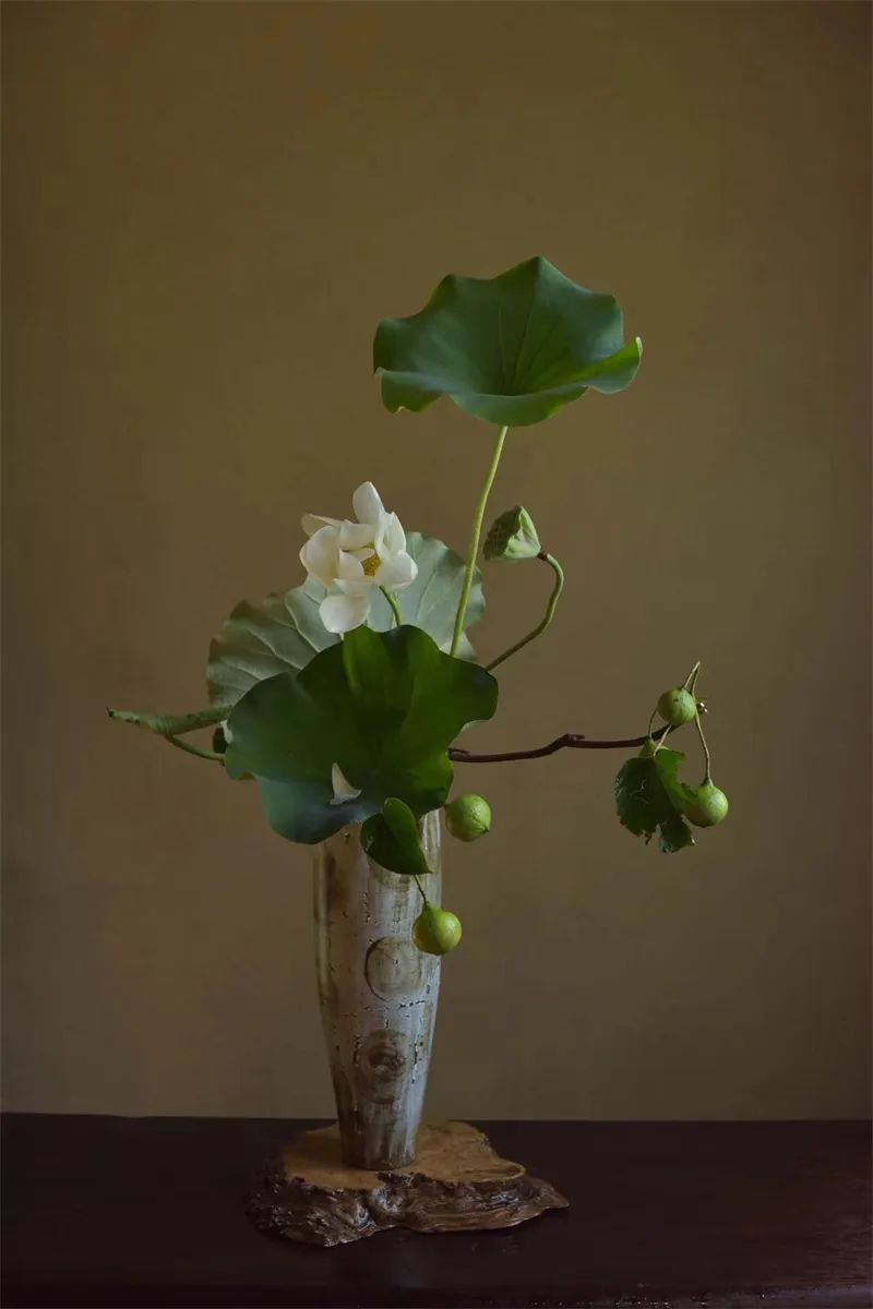 中日插花流派荷花插花荟萃,惊艳了夏日!(上)(中日插花文化对比论文)