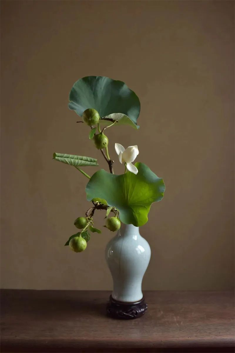 中日插花流派荷花插花荟萃,惊艳了夏日!(上)(中日插花文化对比论文)