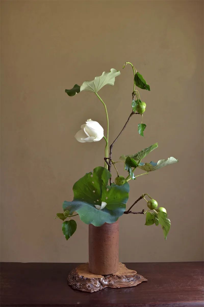 中日插花流派荷花插花荟萃,惊艳了夏日!(上)(中日插花文化对比论文)