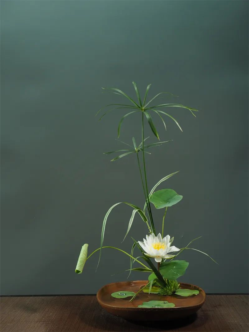 中日插花流派荷花插花荟萃,惊艳了夏日!(上)(中日插花文化对比论文)