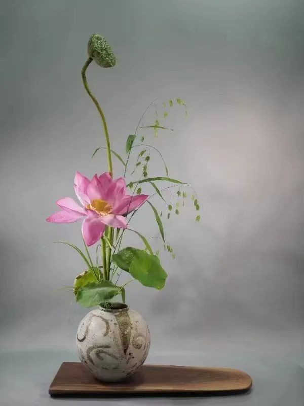 中日插花流派荷花插花荟萃,惊艳了夏日!(上)(中日插花文化对比论文)