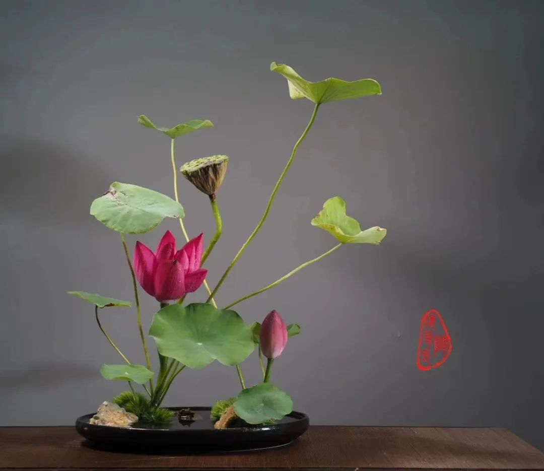 中日插花流派荷花插花荟萃,惊艳了夏日!(上)(中日插花文化对比论文)