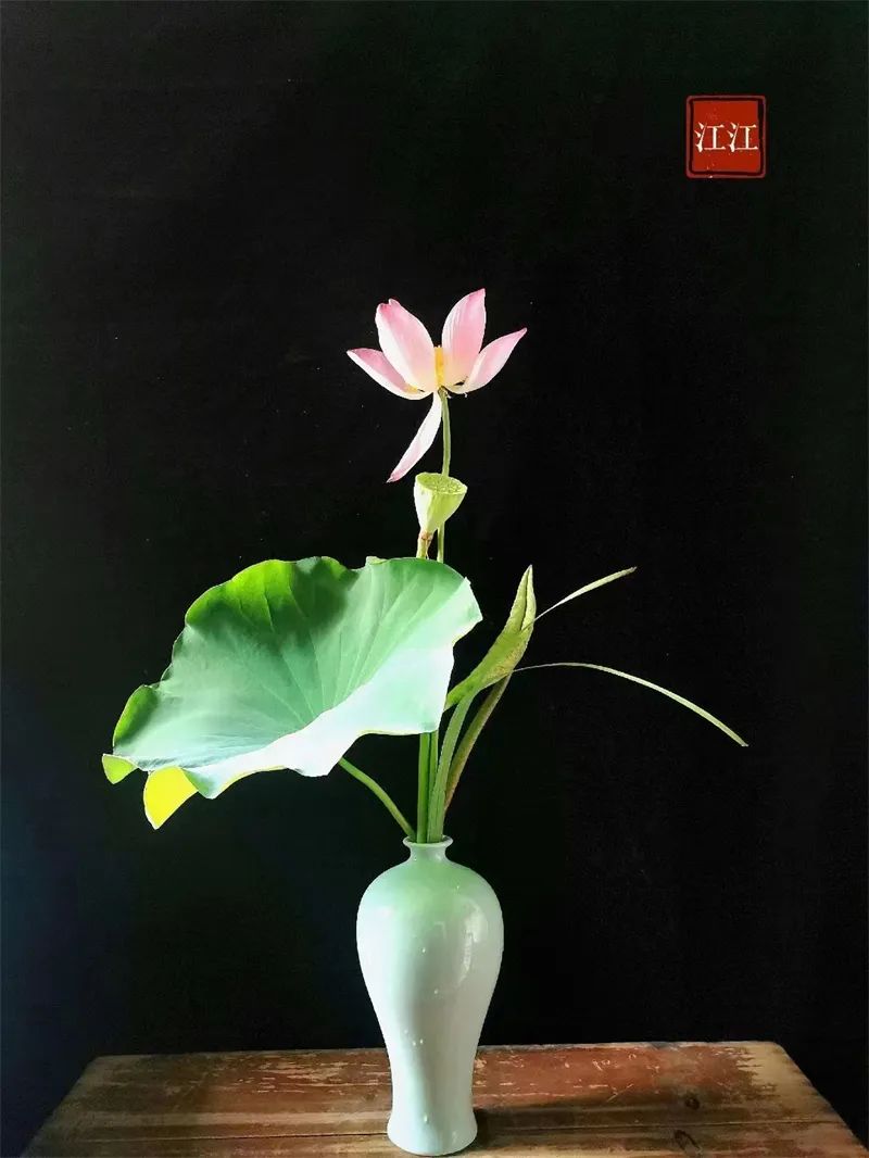 中日插花流派荷花插花荟萃,惊艳了夏日!(上)(中日插花文化对比论文)