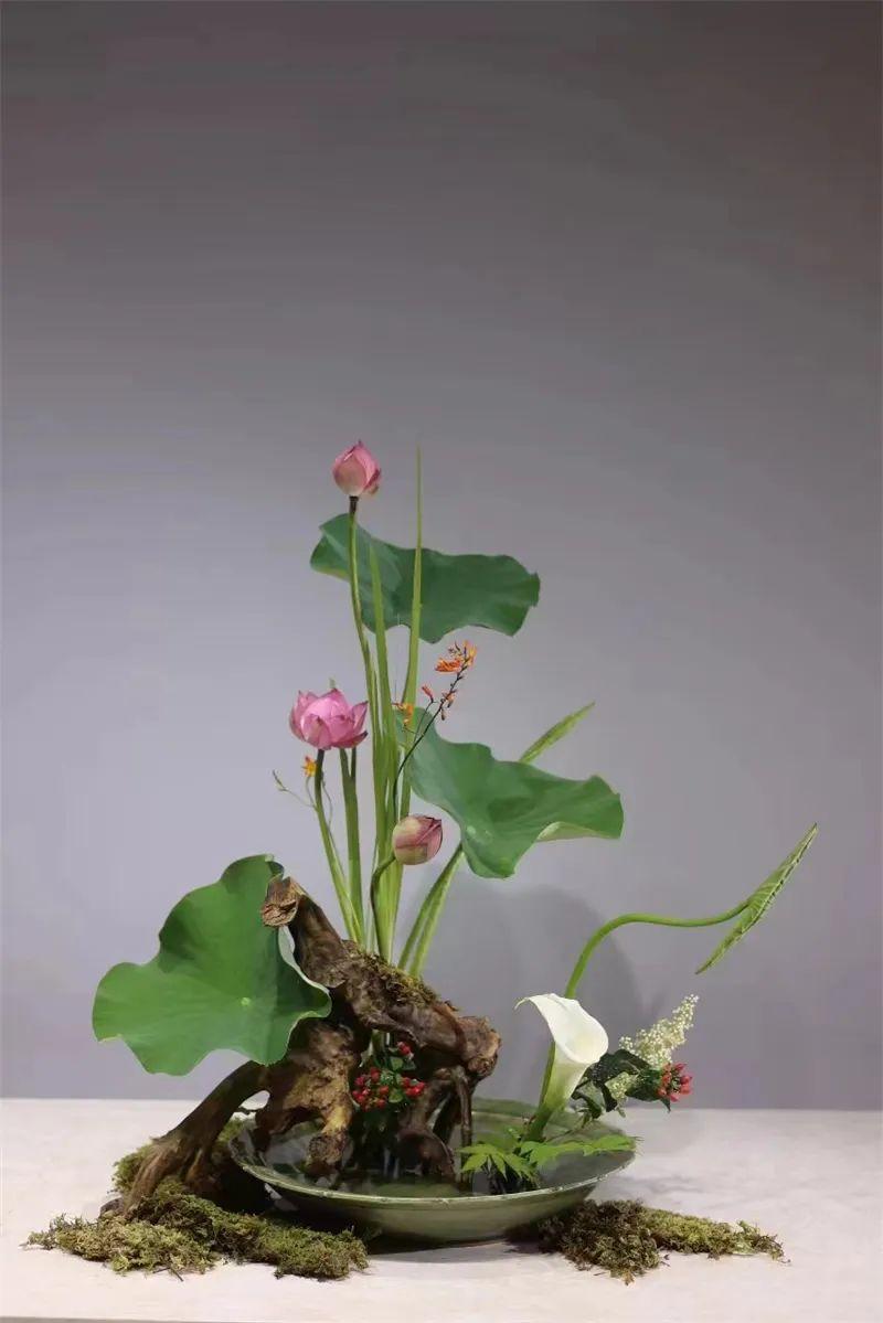 中日插花流派荷花插花荟萃,惊艳了夏日!(上)(中日插花文化对比论文)