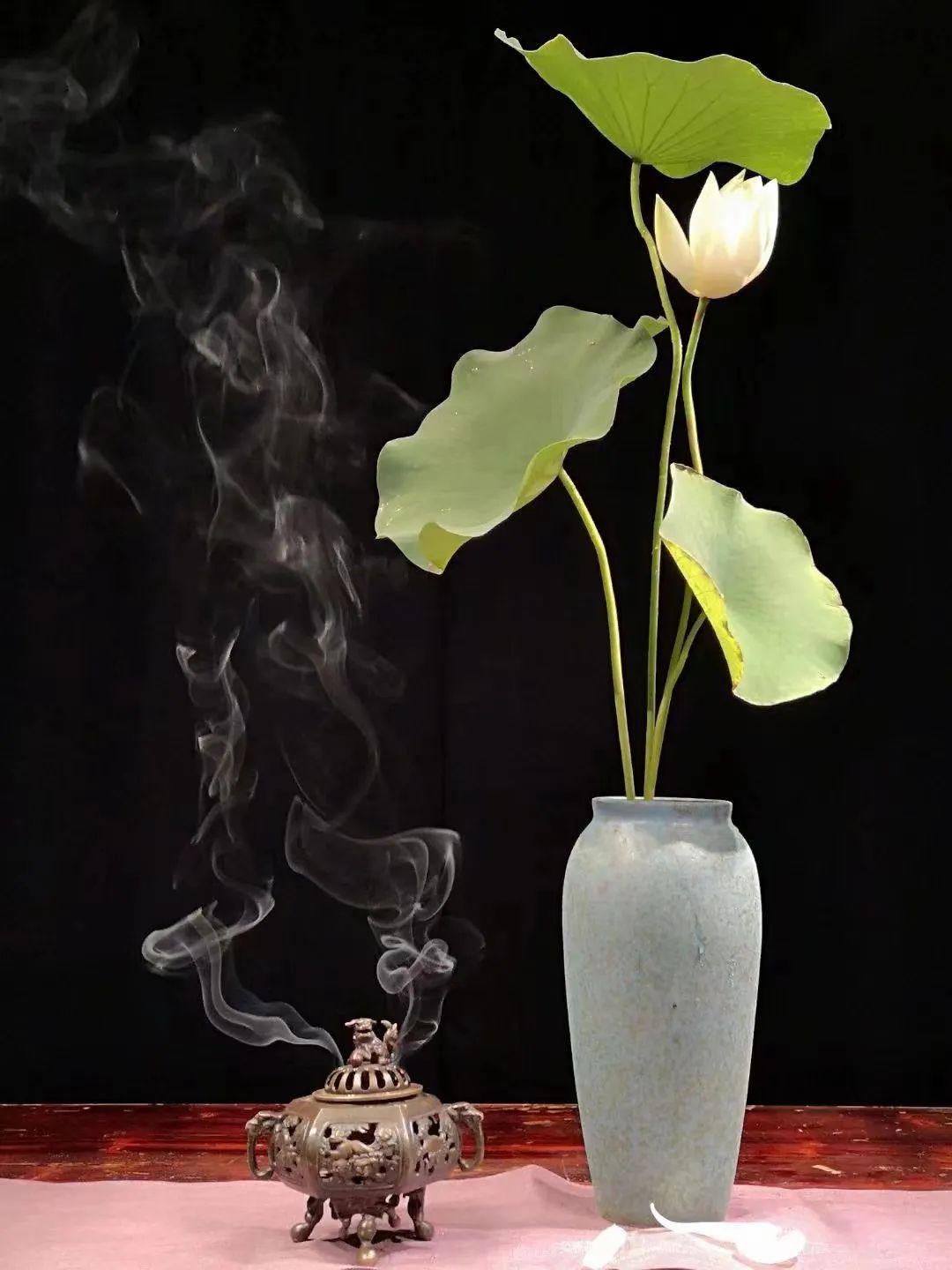 中日插花流派荷花插花荟萃,惊艳了夏日!(上)(中日插花文化对比论文)