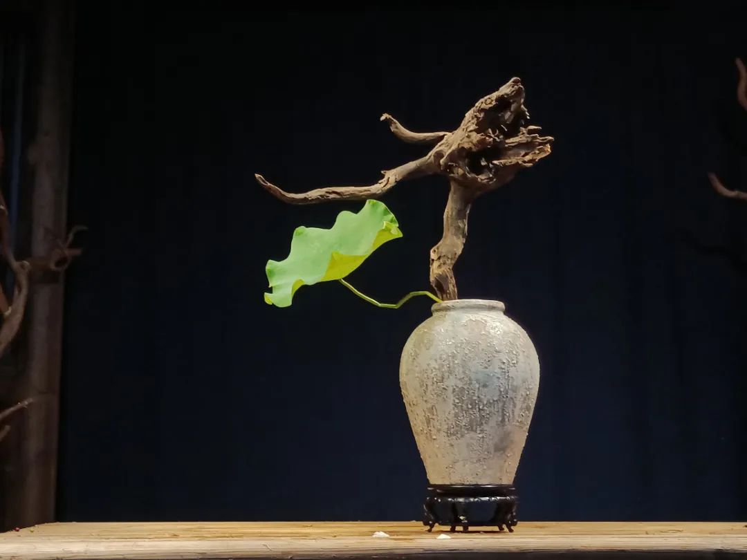 中日插花流派荷花插花荟萃,惊艳了夏日!(上)(中日插花文化对比论文)