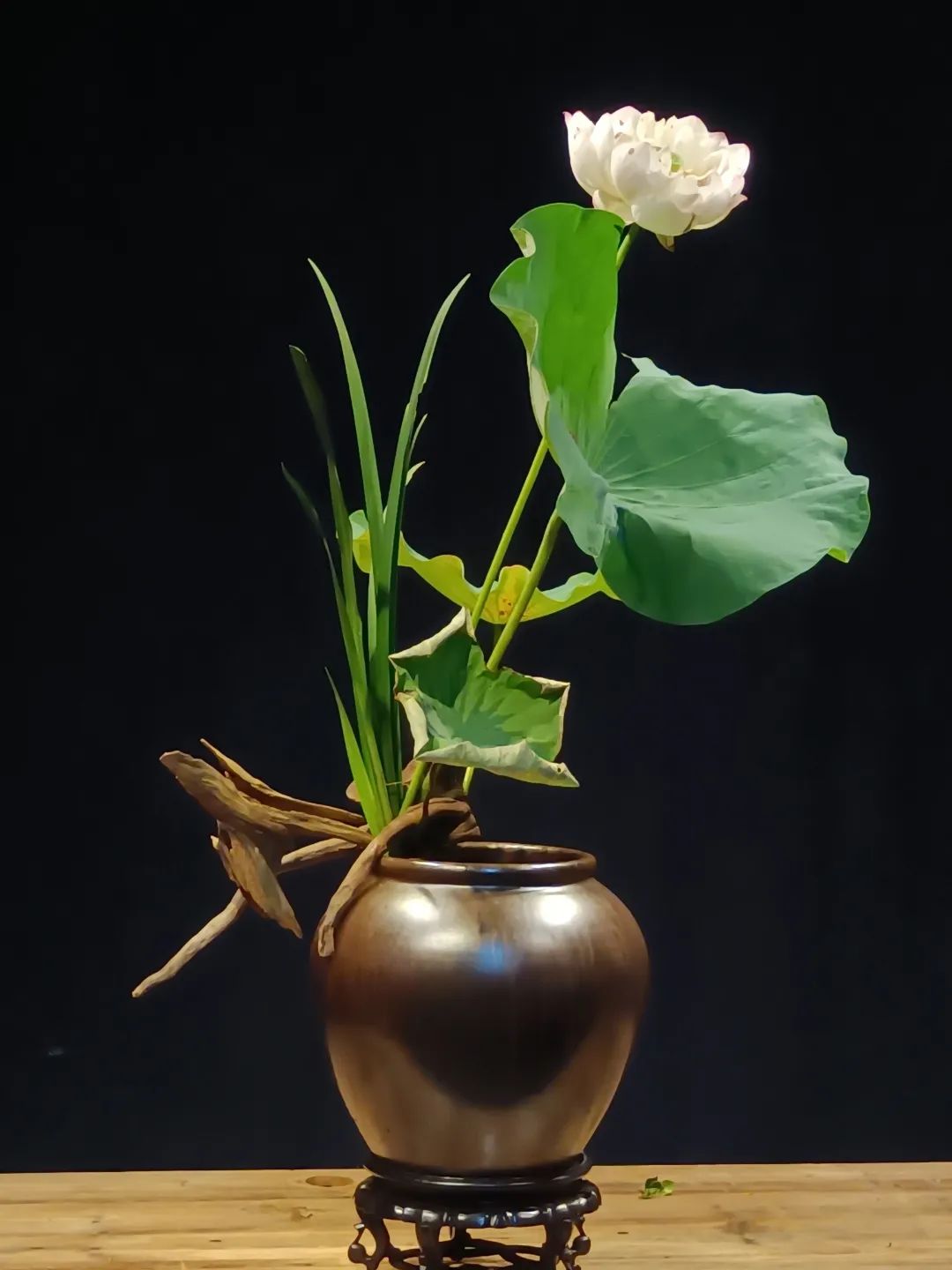 中日插花流派荷花插花荟萃,惊艳了夏日!(上)(中日插花文化对比论文)