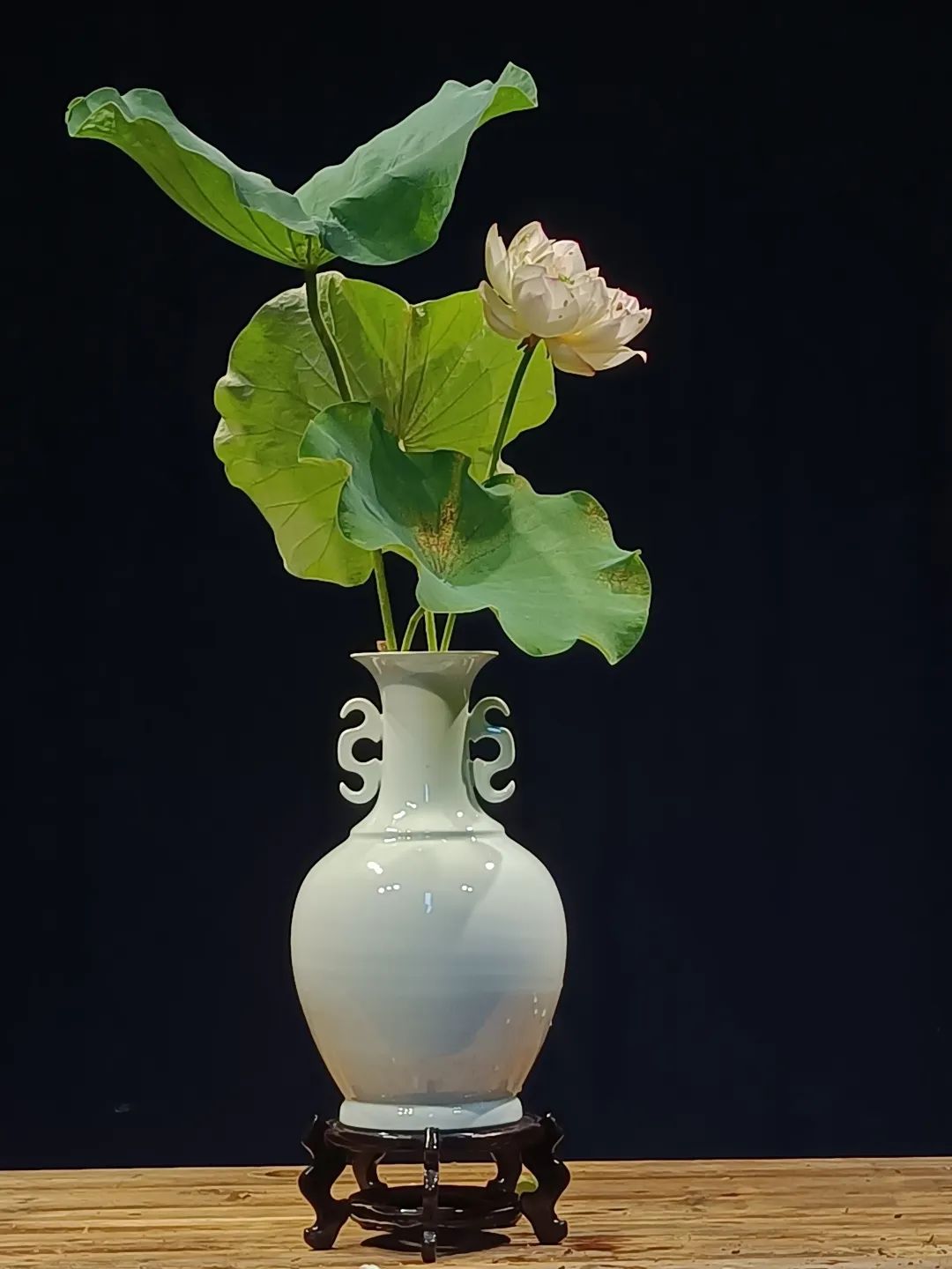 中日插花流派荷花插花荟萃,惊艳了夏日!(上)(中日插花文化对比论文)