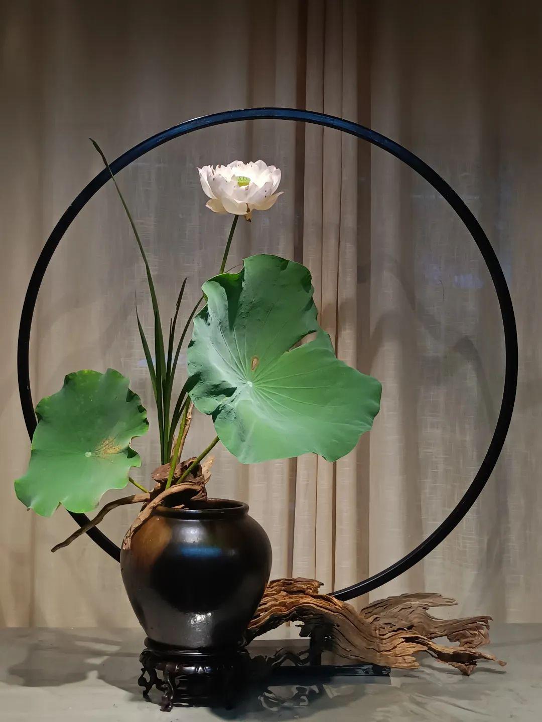 中日插花流派荷花插花荟萃,惊艳了夏日!(上)(中日插花文化对比论文)